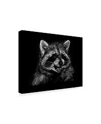 Geraldine Aikman 'Racoon' Canvas Art - 19" x 14"