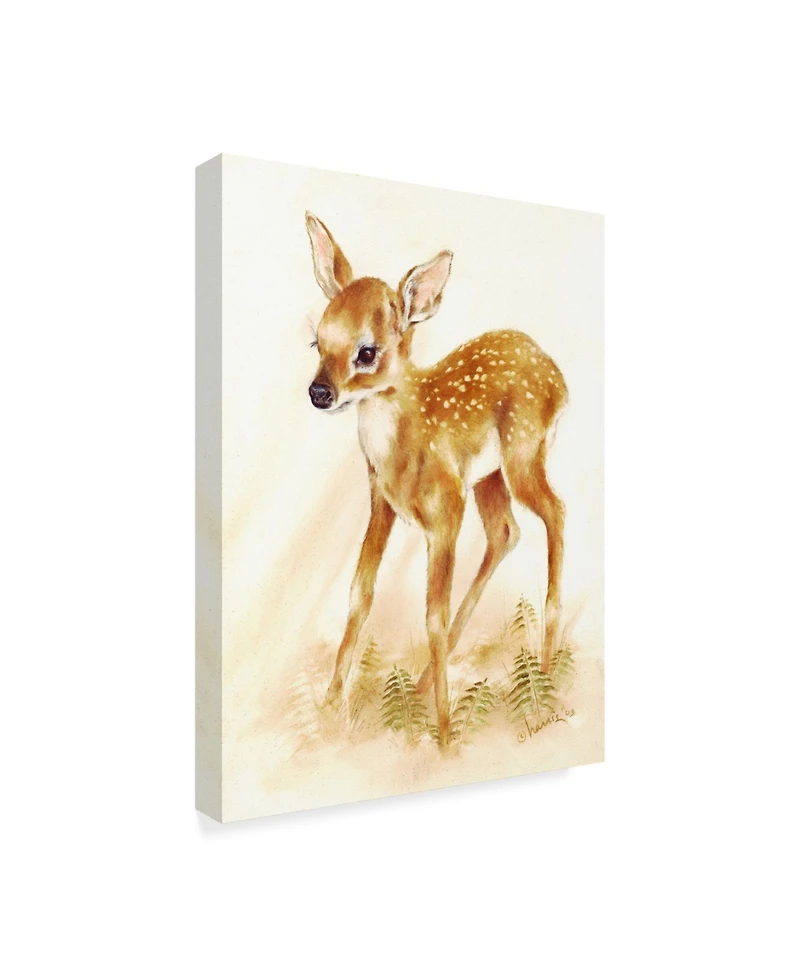 Peggy Harris 'Fawn' Canvas Art - 18" x 24"