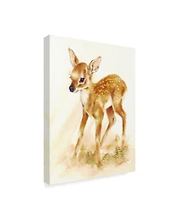 Peggy Harris 'Fawn' Canvas Art - 18" x 24"