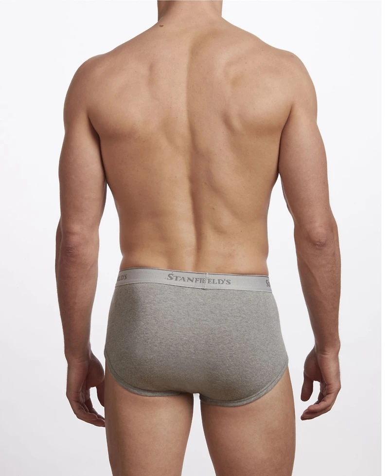 Stanfield's Premium Cotton Men's 3 Pack Brief Underwear