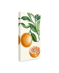 Turpin Turpin Fruit Ii Canvas Art - 15" x 20"