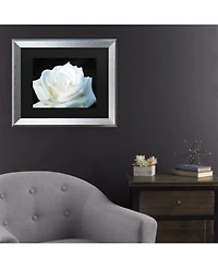 Kurt Shaffer White Rose Ii Matted Framed Art - 27" x 33"