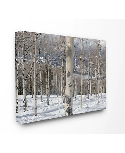 Stupell Industries Winter Birches Photography Canvas Wall Art, 16" x 20"