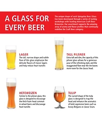Spiegelau Classic Beer Tasting Kit Set of 4
