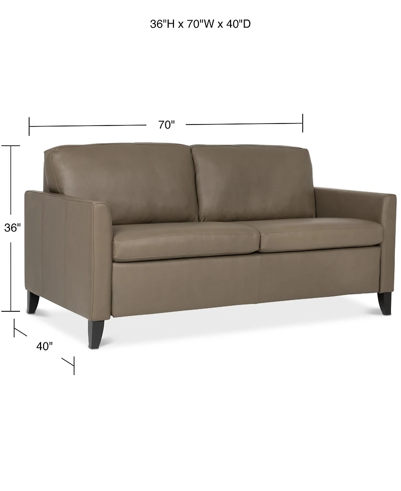 Priley 70" Leather Queen Sleeper Sofa