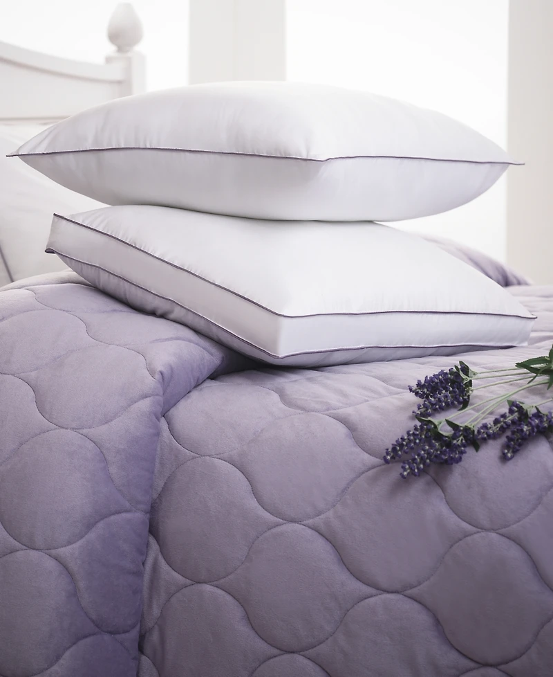 Allied Home Dream Infusion Lavender Scented Soft Touch Pillow, Standard