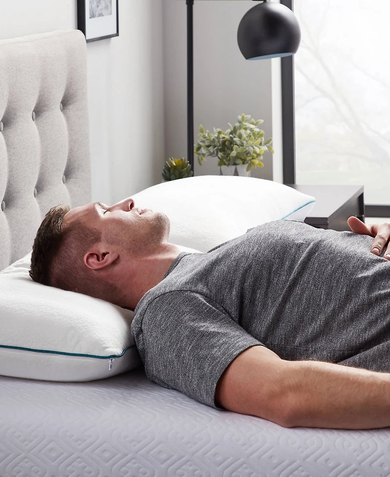 Lucid Dream Collection Shredded Memory Foam 2-Pack Pillow, King