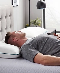 Lucid Dream Collection Shredded Memory Foam 2-Pack Pillow, King