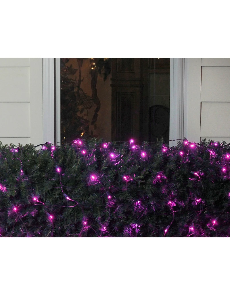 Northlight 4' x 6' Raspberry Led Wide Angle Christmas Net Lights - Green Wire