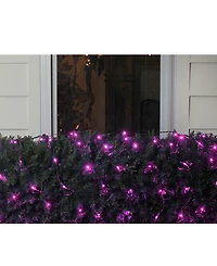 Northlight 4' x 6' Raspberry Led Wide Angle Christmas Net Lights - Green Wire