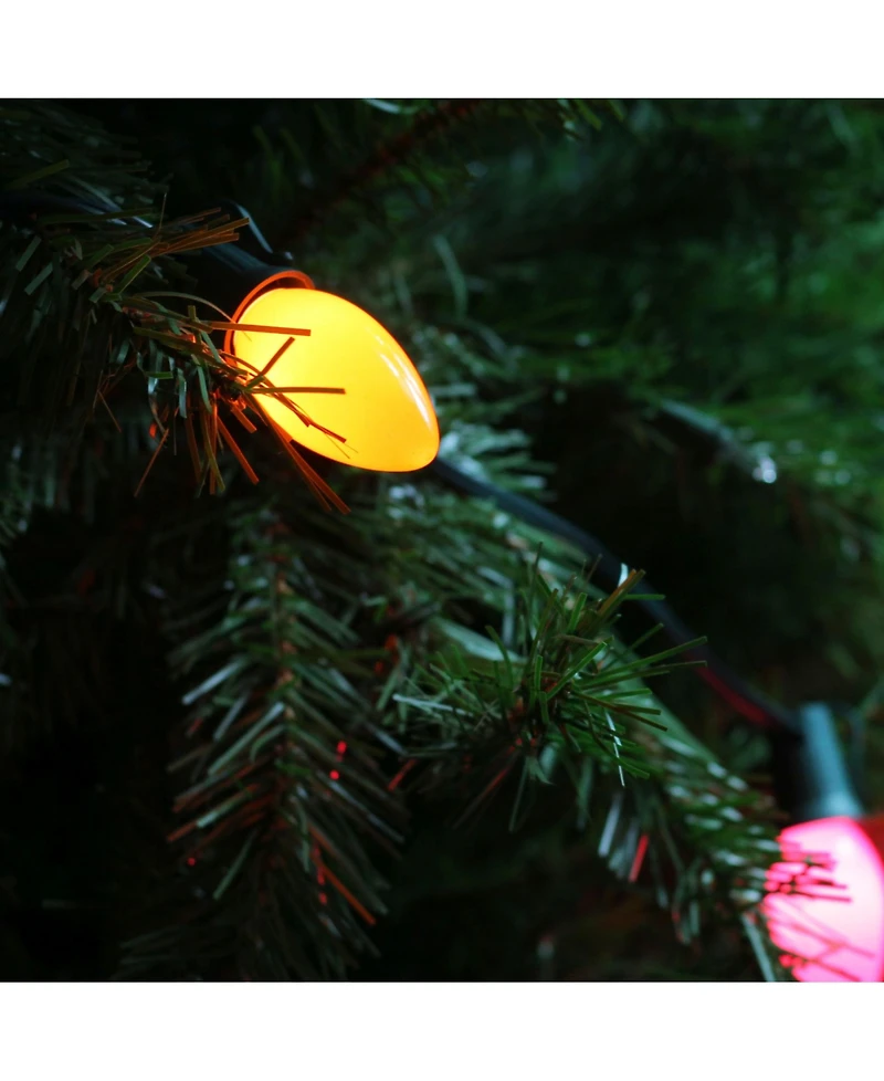 Northlight Set of 25 Opaque Bold Multi-Color C9 Christmas Lights - 24 ft. Green Wire