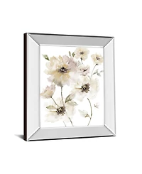 Classy Art Translucent Garden I by Nan Mirror Framed Print Wall Art, 22" x 26"
