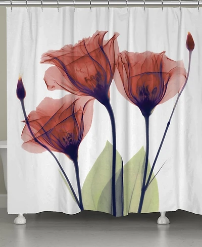 Laural Home Red Gentian X-ray Flowers Shower Curtain, 71" x 72"