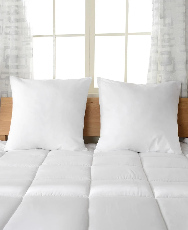 Cheer Collection 2-Pack Pillows, European