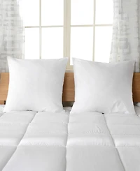 Cheer Collection 2-Pack Pillows, European