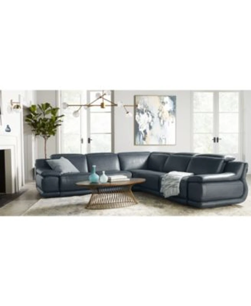 Daisley Leather Sectional Sofa Collection