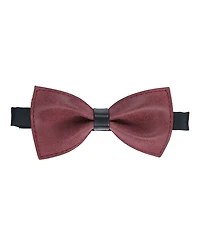 Mio Marino Men's Suede Y-Back Suspenders Bow Tie Set