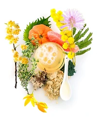Red Flower Yuzu Mimosa Sea Algae Wash, 8.8 oz