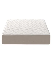 Dusk Dawn 12 Medium Plush Mattress In A Box Collection