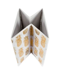 Design Imports Non-woven Polyester Cube Pineapple Square Set of