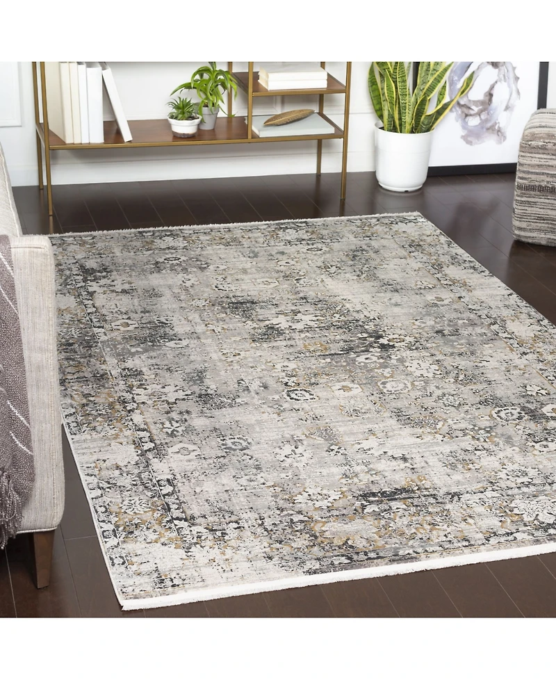 Surya Solar Sor-2308 Charcoal 3' x 9'10" Runner Area Rug