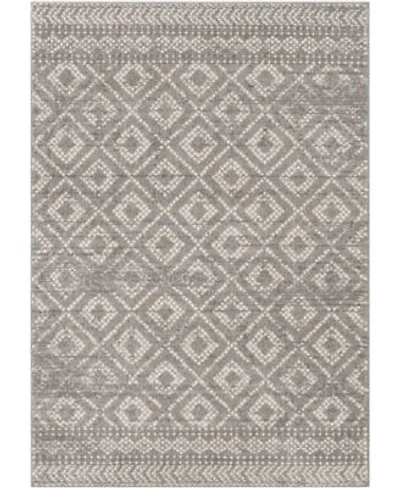 Livabliss Sunderland Sun 2302 Gray Area Rug