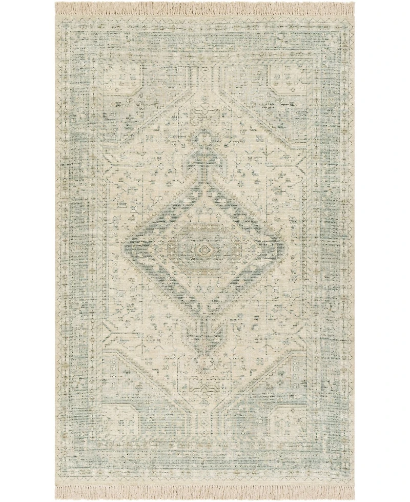 Livabliss Zainab Zai-2303 Sage 2' x 3' Area Rug