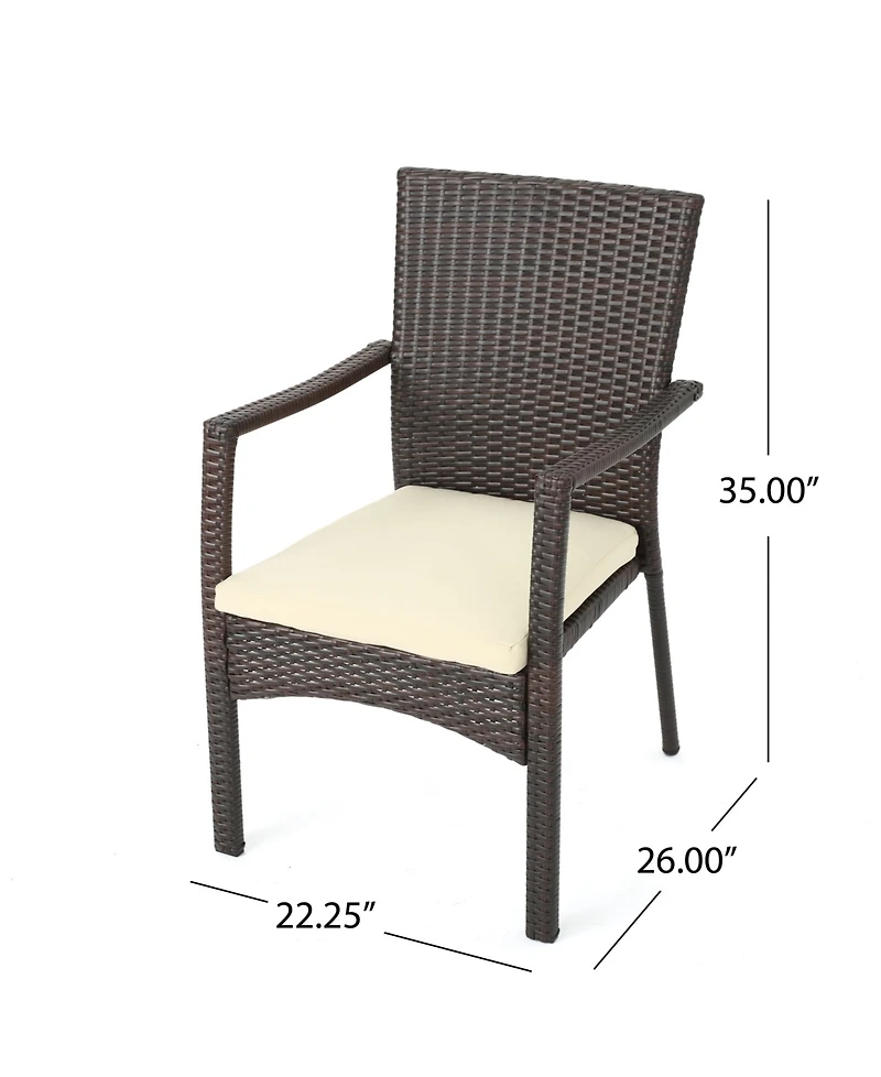 Noble House Wilkerson Outdoor Dining Chair with Cushion, Set of 2