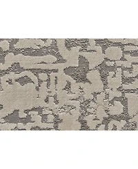 Feizy Prasad R3683 Gray 5' x 8' Area Rug