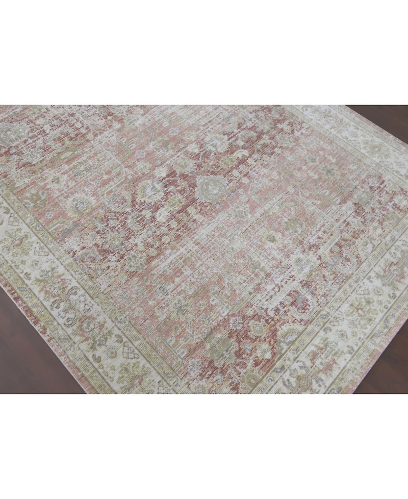 Amer Rugs Century Cen-8 Salmon 2'6" x 8' Runner Rug