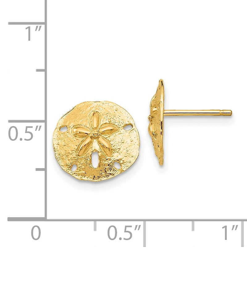 Sand Dollar Stud Earrings in 14k Gold
