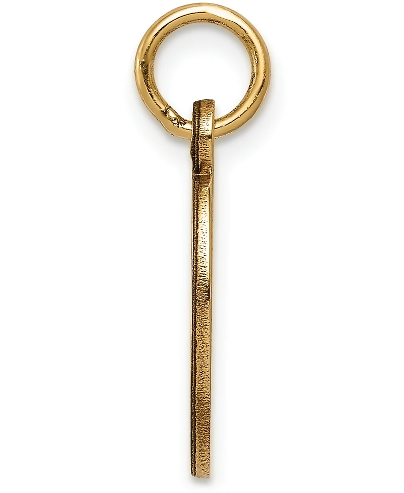 Medical Info Charm Pendant in 14k Gold