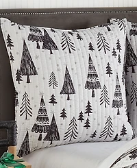 Levtex Northern Star 2-Pack Sham Set, European