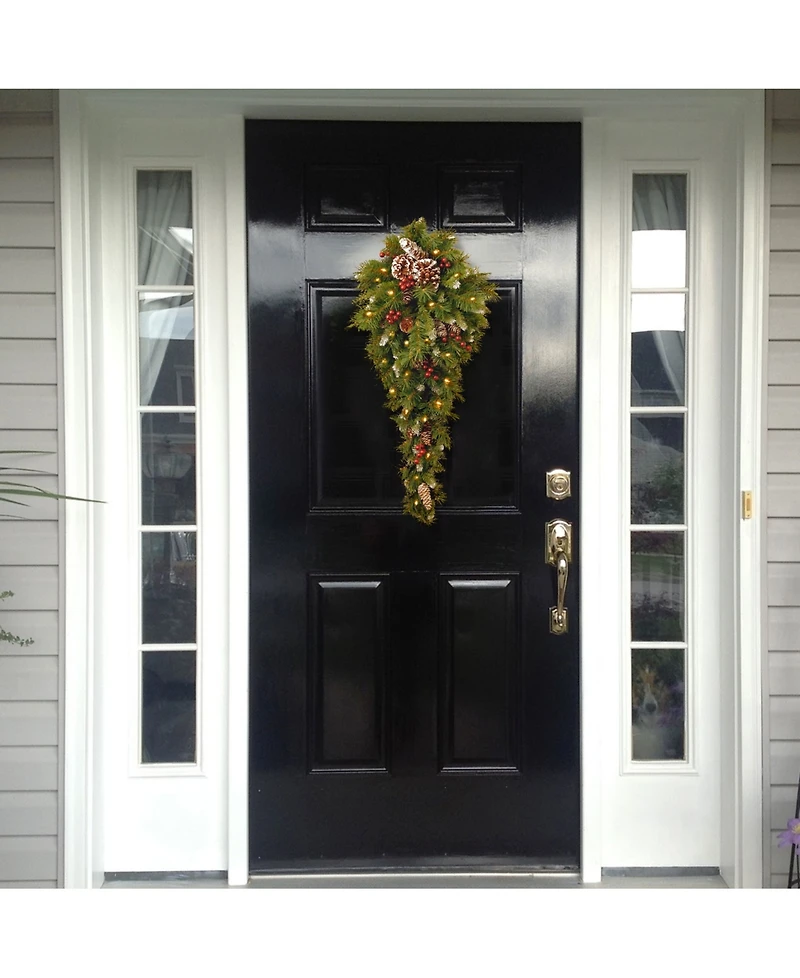 National Tree Company 36" Frosted Berry Teardrop with Battery Operated Warm White Led Lights