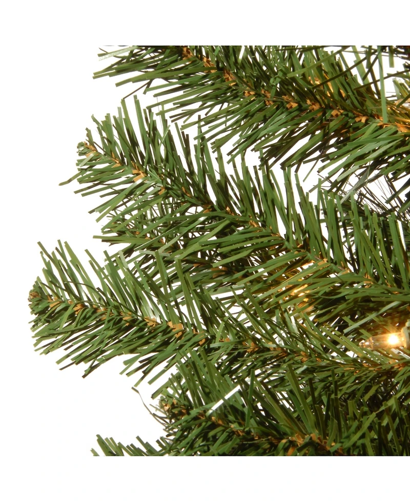 National Tree Company 5' Montclair Spruce Entrance Tree in 12" Black/Gold Plastic Pot with 100 Clear Lights