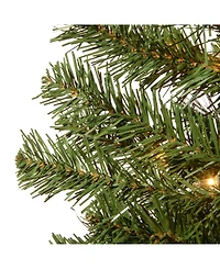 National Tree Company 5' Montclair Spruce Entrance Tree in 12" Black/Gold Plastic Pot with 100 Clear Lights