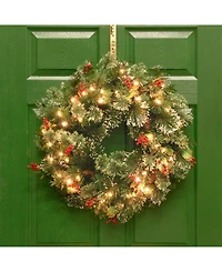 National Tree Company 24" Wintry Pine Wreath with Cones, Red Berries, Snowflakes and 50 Clear Lights