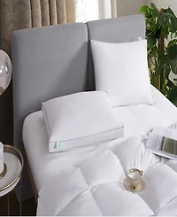 Martha Stewart Feather & Down 2-Pack Pillow, Jumbo
