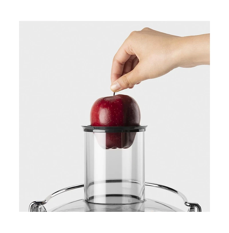 NutriBullet Juicer NBJ50100 800W