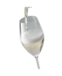 Zwilling Predicat 6 Piece Champagne Glass Set, 8.9 oz