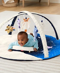 Skip Hop Celestial Dreams Activity Gym