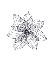 Modern Floral Wall Decor