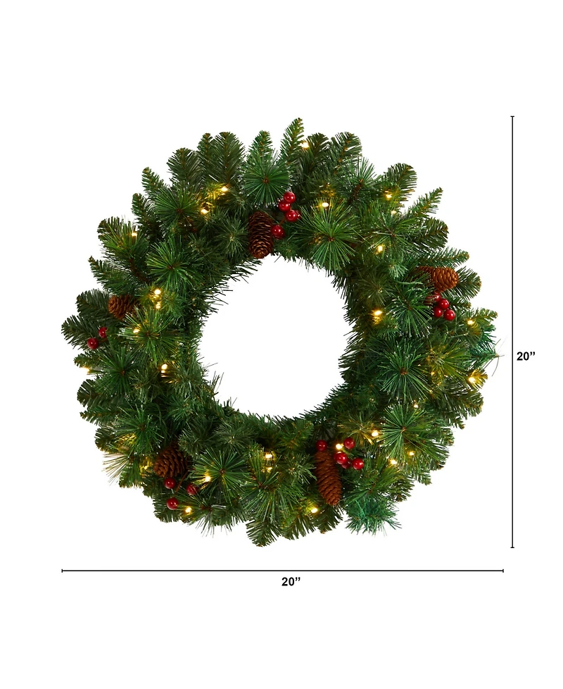 Frosted Pine Artificial Christmas Wreath with Pinecones, Berries and 35 Warm Led Lights, 20"