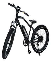 GoPowerBike GoSpeed Fat-Tire Electric Bike