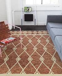 Amer Rugs Vista Raton 8' x 10' Area Rug