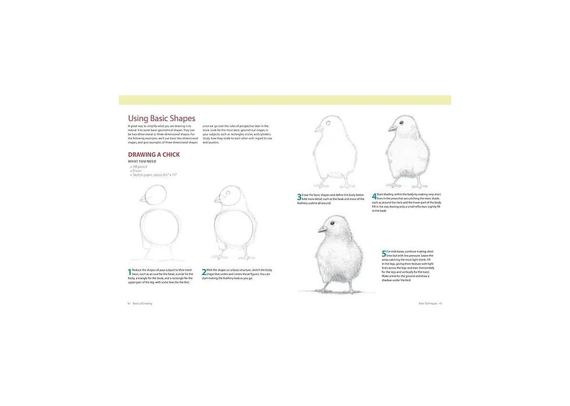 Basics of Drawing