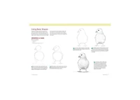 Basics of Drawing