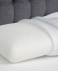 IntelliSLEEP Natural Comfort Traditional Memory Foam Pillow, King, Exclusively at Macy's