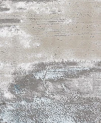 Feizy Azure R3406 5' x 8' Area Rug