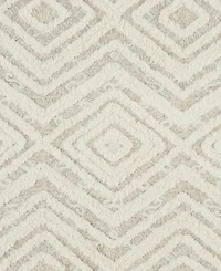 Feizy Anica R8010 4' x 6' Area Rug